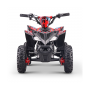 MINIQUAD ELÉCTRICO ROAN RATTE 800W LIMITADOR DE VELOCIDAD - CLAXON Y LUCES