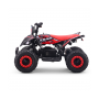 MINIQUAD ELÉCTRICO ROAN RATTE 800W LIMITADOR DE VELOCIDAD - CLAXON Y LUCES