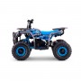 MINIQUAD ELÉCTRICO ROAN BULL 1000W 36V