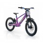 BICICLETA ELÉCTRICA SIN PEDALES 750W 20" RFN EVO RACING