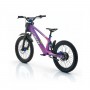 BICICLETA ELÉCTRICA SIN PEDALES 750W 20" RFN EVO RACING