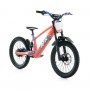 BICICLETA ELÉCTRICA SIN PEDALES 750W 20" RFN EVO RACING