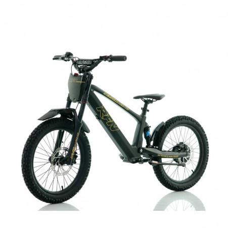 BICICLETA ELÉCTRICA SIN PEDALES 750W 20" RFN EVO RACING