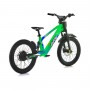 BICICLETA ELÉCTRICA SIN PEDALES 750W 20" RFN EVO RACING