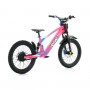 BICICLETA ELÉCTRICA SIN PEDALES 750W 20" RFN EVO RACING
