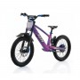 BICICLETA ELÉCTRICA SIN PEDALES 750W 20" RFN EVO RACING