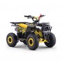 MINIQUAD PARA NIÑOS GASOLINA ROAN BULL 49 CC