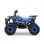 MINIQUAD PARA NIÑOS GASOLINA ROAN BULL 49 CC