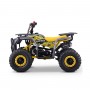 MINIQUAD PARA NIÑOS GASOLINA ROAN BULL 49 CC