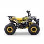 MINIQUAD PARA NIÑOS GASOLINA ROAN BULL 49 CC