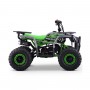 MINIQUAD PARA NIÑOS GASOLINA ROAN BULL 49 CC