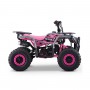 MINIQUAD PARA NIÑOS GASOLINA ROAN BULL 49 CC