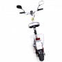 PATINETE ELÉCTRICO E-FLUX STREET 40 36V 800W