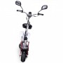 PATINETE ELÉCTRICO E-FLUX STREET 40 36V 800W
